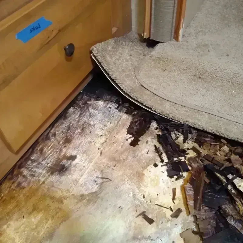 Wood Floor Water Damage in Sebastian, TX